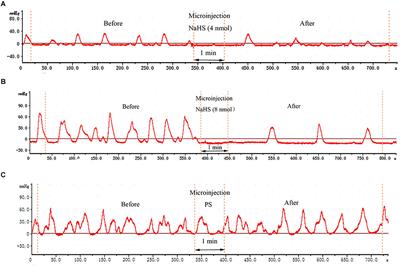 Exogenous Hydrogen Sulfide Within the Nucleus Ambiguus Inhibits Gastrointestinal Motility in Rats